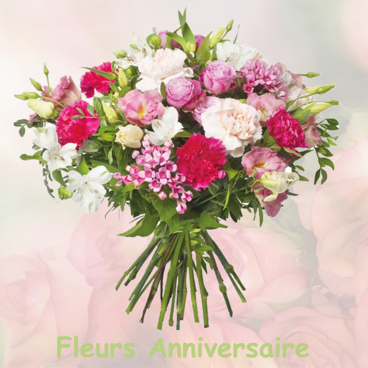 fleurs anniversaire AUZOUER-EN-TOURAINE